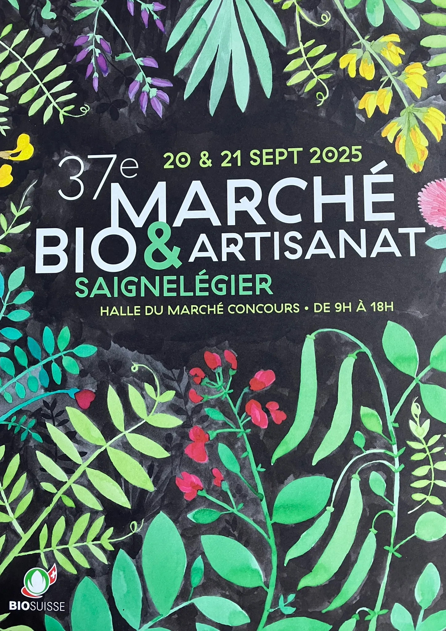 Affiche de Marché bio et artisanat 2025